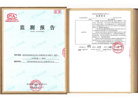 陕西省商南县东正化工有限责任公司2024年废气、噪声、污水监测报告（一季度）